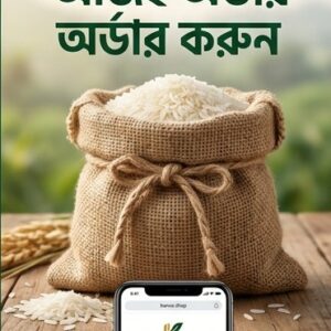 সিজনের ১ নাম্বার নতুন ২৮ চাল