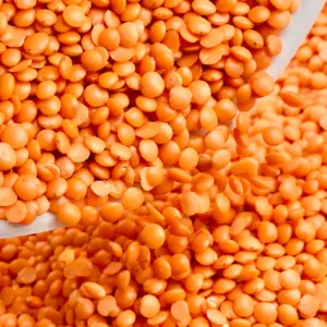 মসুর ডাল ( নেপালি )